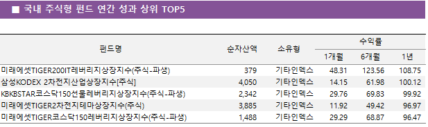 ■ 국내 주식형 펀드 연간 성과 상위 TOP5 펀드명	순자산액	소유형	수익률		 			1개월	6개월	1년 미래에셋TIGER200IT레버리지상장지수(주식-파생)	 379 	기타인덱스	48.31 	123.56 	108.75  삼성KODEX 2차전지산업상장지수[주식]	 4,050 	기타인덱스	14.15 	61.98 	100.12  KBKBSTAR코스닥150선물레버리지상장지수(주식-파생)	 2,342 	기타인덱스	29.76 	69.83 	99.92  미래에셋TIGER2차전지테마상장지수(주식)	 3,885 	기타인덱스	11.92 	49.42 	96.97  미래에셋TIGER코스닥150레버리지상장지수(주식-파생)	 1,488 	기타인덱스	29.29 	68.87 	96.47 